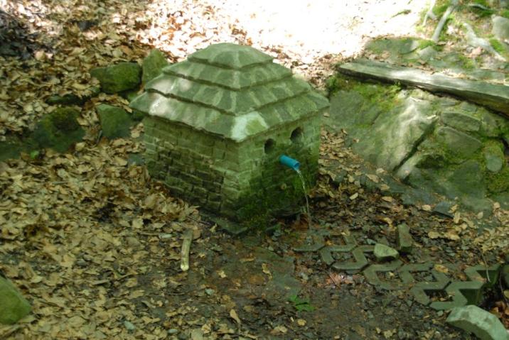 Źródełko Borgońka w leśnictwie Kalembice